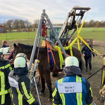 FW-BO: Pferderettung in Sevinghausen