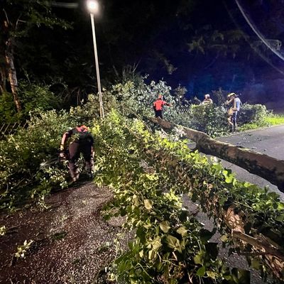 FW Hünxe: Baum blockiert Straße