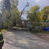 FW-EN: Sturmschaden an der Kleinbeckstraße