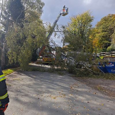 FW-EN: Sturmschaden an der Kleinbeckstraße