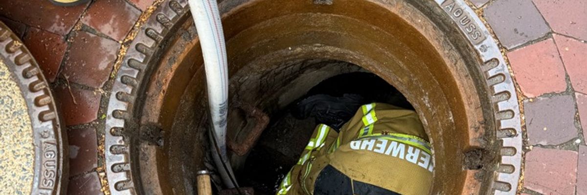 FW Osterholz-Scharm.: Feuerwehr rettet Entenküken