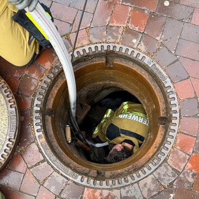 FW Osterholz-Scharm.: Feuerwehr rettet Entenküken