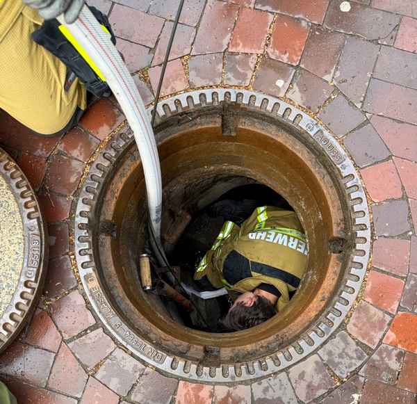 FW Osterholz-Scharm.: Feuerwehr rettet Entenküken