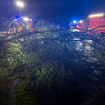 FW-KLE: Drei wetterbedingte Einsätze für die Freiwillige Feuerwehr Bedburg-Hau (Korrektur: Jetzt mit Einsatzbildern!)