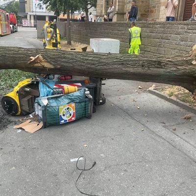 FW-DO: Umgestürzter Baum an der Reinoldikirche beschädigt Stromleitung und EDG-Reinigungsfahrzeug