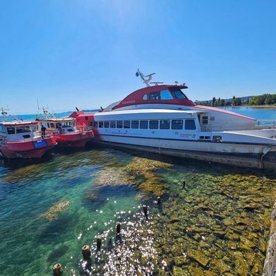 FW Konstanz: Schiffsunfall am Konstanzer Hafen