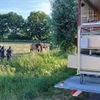 FW Rheurdt: Pferd "Donoven" stürzt in Graben - und rettet sich im Beisein der Feuerwehr selbst