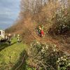 FW-MH: Verkehrsunfall auf der A40 - PKW landet im dichten Gebüsch