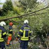FW-EN: Baum auf Wohnhaus