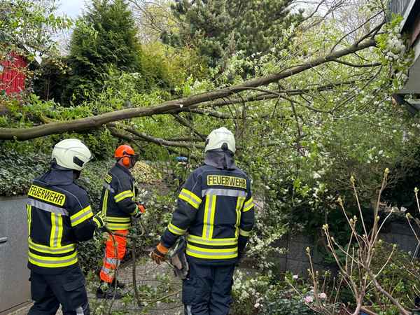 FW-EN: Baum auf Wohnhaus
