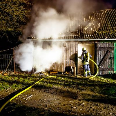 FW Lüchow-Dannenberg: Schweinestall brennt bei Dannenberg +++ Tiere überleben unverletzt +++ Feuerwehr verhindert Ausbreitung