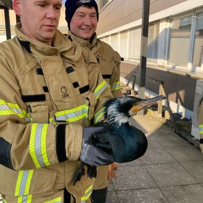FW-HB: Ein tierischer Ausnahmefall in der Notaufnahme