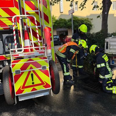 Feuerwehr MTK: Vier Einsätze bei extremer Hitze: Feuerwehr Hattersheim am Main gefordert