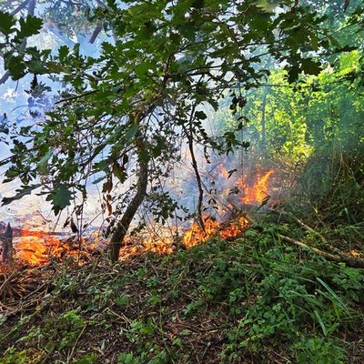FW Konstanz: Einsatzreicher Tag für die Feuerwehr Konstanz