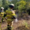 FW-EN: 50 m² Unterholz brennen im Wald - Feuerwehr Herdecke und Feuerwehr Wetter (Ruhr) im Einsatz.