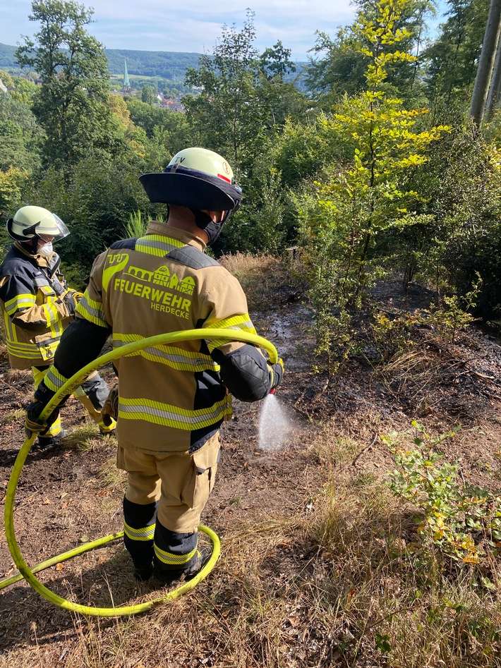 FW-EN: 50 m² Unterholz brennen im Wald - Feuerwehr Herdecke und Feuerwehr Wetter (Ruhr) im Einsatz.