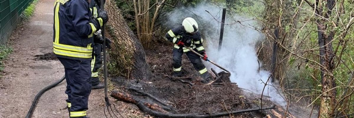 FW-AUR: Brennende Vegetation am Waldesrand