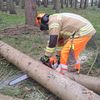 FW-OLL: Sonderdienst Motorkettensäge: Feuerwehr Wildeshausen trainiert für den Ernstfall
