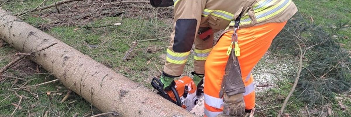 FW-OLL: Sonderdienst Motorkettensäge: Feuerwehr Wildeshausen trainiert für den Ernstfall