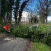 FW-Schermbeck: Baum blockiert Fahrbahn