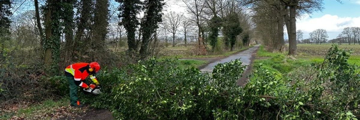 FW-Schermbeck: Baum blockiert Fahrbahn