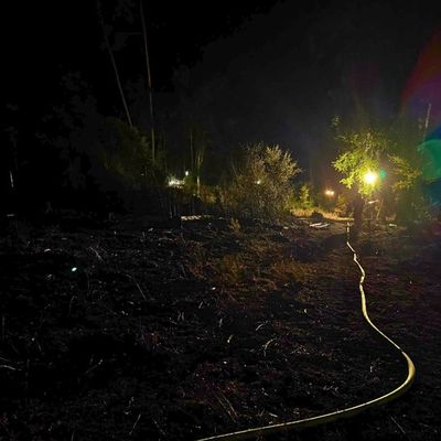 Feuerwehr MTK: Waldbrandlöschzug des Main-Taunus-Kreises unterstützt bei Waldbrand im Rheingau-Taunus-Kreis - Rund 45 Einsatzkräfte sicherten in schwierigem Gelände die Flanken des Brandgebietes