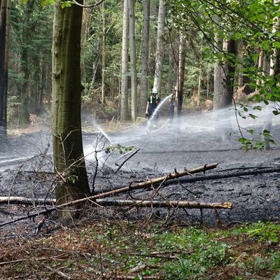 KFV-CW: Waldfläche in Brand / Feuerwehr verhindert Ausbreitung