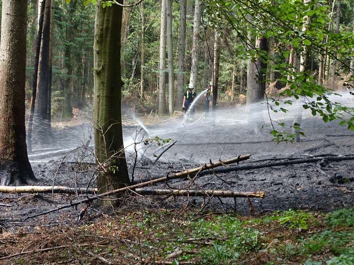 KFV-CW: Waldfläche in Brand / Feuerwehr verhindert Ausbreitung