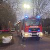 FW-AUR: In Wohngebiet mit Baum kollidiert
