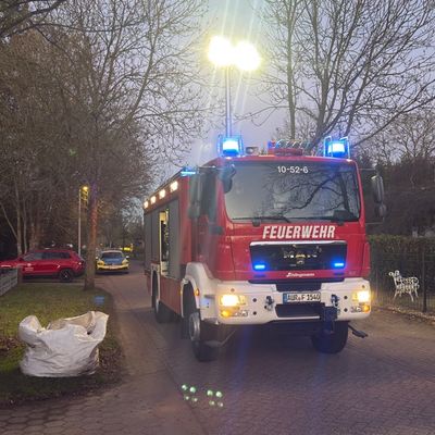 FW-AUR: In Wohngebiet mit Baum kollidiert
