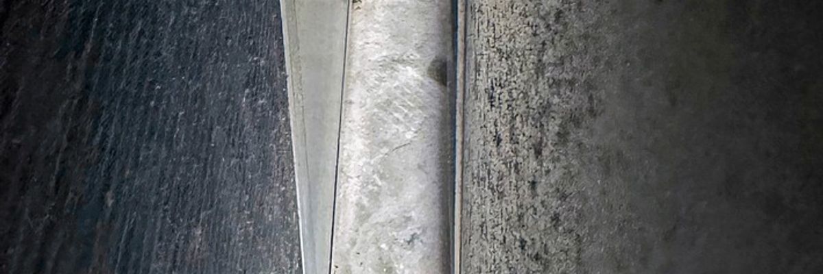 FW-M: Tierischer Auftritt (Olympiapark)