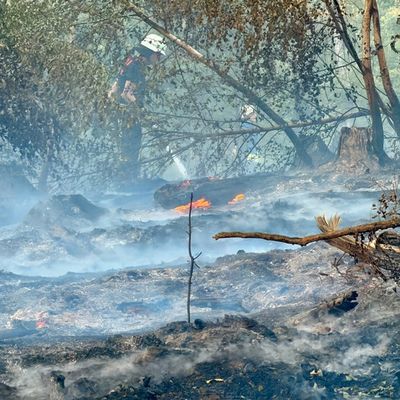 FW LK Neunkirchen: Großflächiger Waldbrand am Wingertsweiher fordert mehrere hundert Einsatzkräfte über zwei Tage