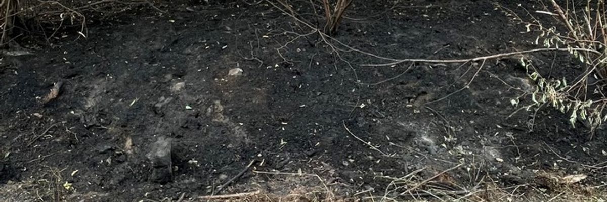 FW-SG: Einsatzerfolg beim Rekord-Waldbrand: Bergische Kräfte drängen Flammen zurück - Enorme Welle der Hilfsbereitschaft aus der Bevölkerung