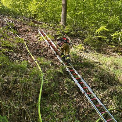 FW Stuttgart: Waldbrand auf 6.500 Quadratmetern in Stuttgart-Rohracker