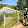 FW Bocholt: Vegetationsbrand am Radweg - Feuerwehr verhindert Ausbreitung