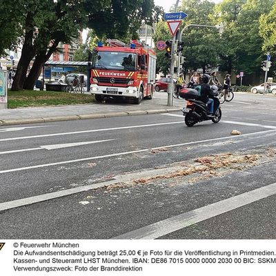 FW-M: Tierische Sauerei (Isarvorstadt)
