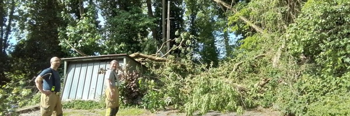 FW Weinheim: Baum stürzt teilweise auf Hütte und blckierte den Weg