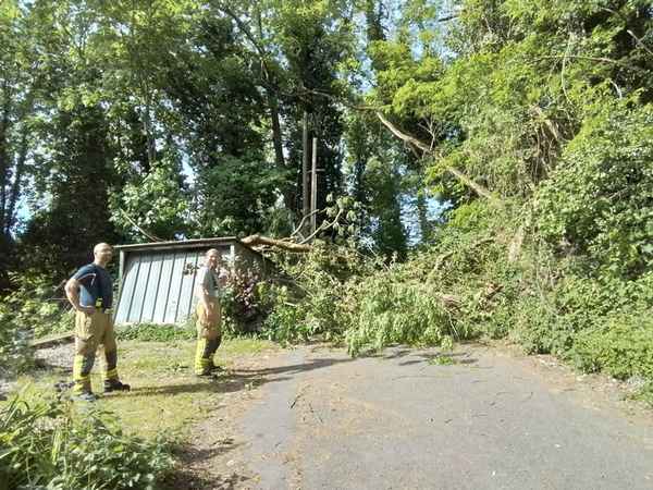 FW Weinheim: Baum stürzt teilweise auf Hütte und blckierte den Weg