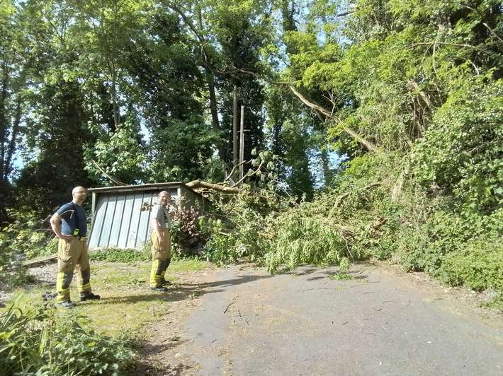 FW Weinheim: Baum stürzt teilweise auf Hütte und blckierte den Weg