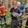 FW Stockach: Tierrettung