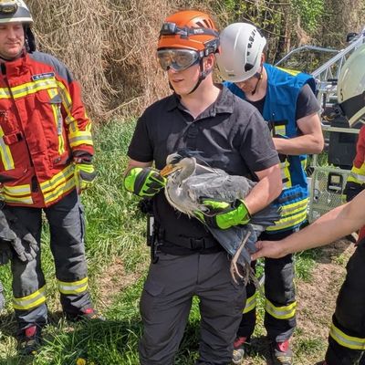 FW Stockach: Tierrettung