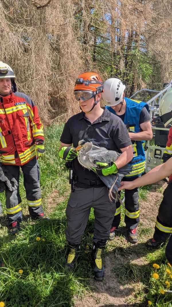 FW Stockach: Tierrettung