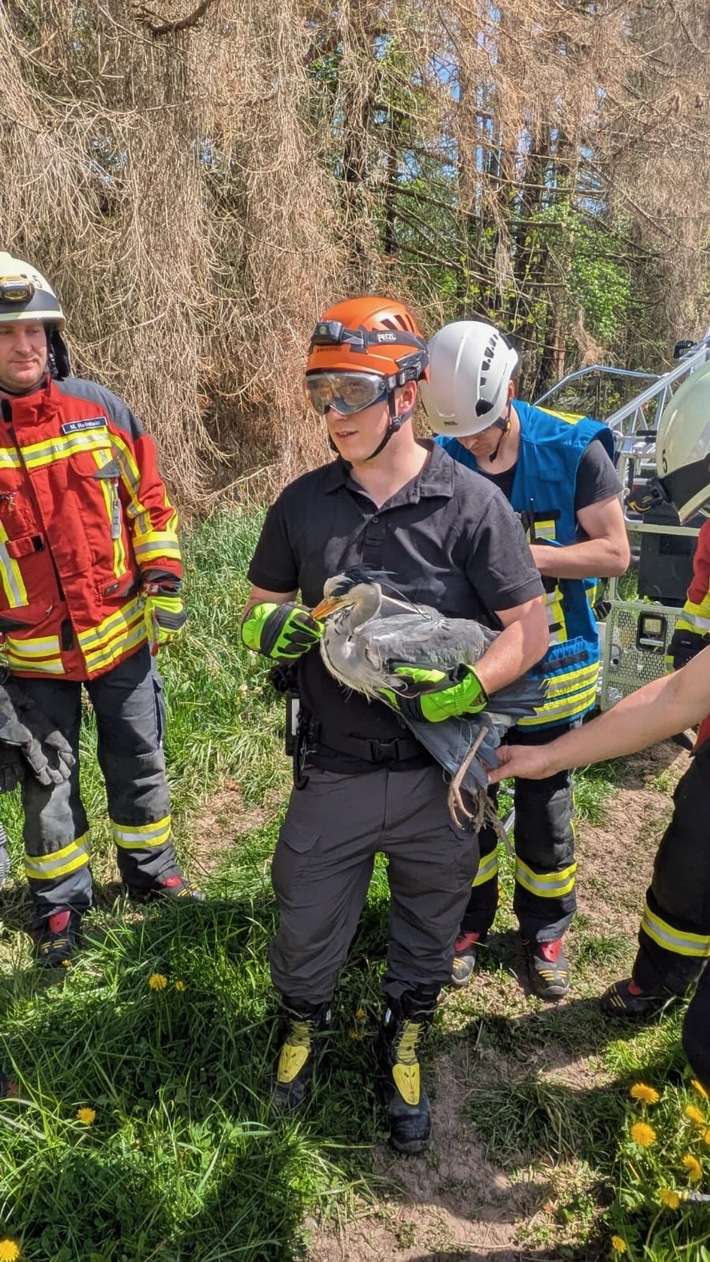 FW Stockach: Tierrettung