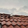 FW-EN: Blitzeinschlag in ein Dach