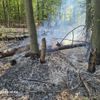 FW Kreis Soest: Wald- und Flächenbrandgefahr jetzt schon hoch - wie kann man vorbeugen?
