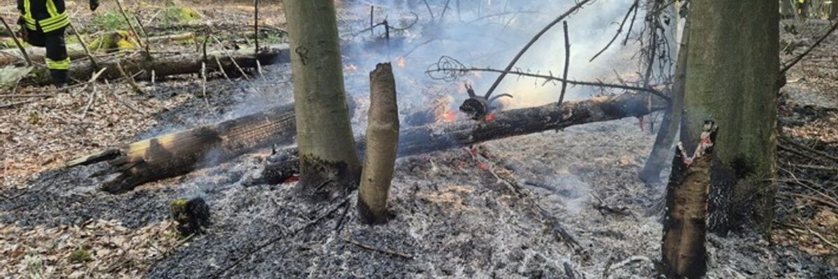 FW Kreis Soest: Wald- und Flächenbrandgefahr jetzt schon hoch - wie kann man vorbeugen?