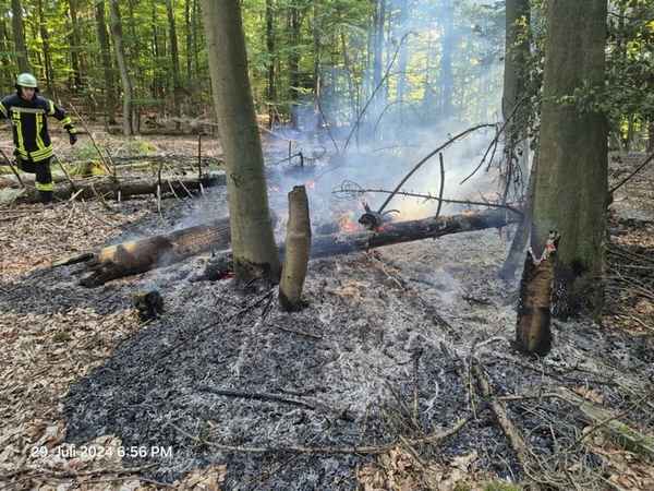 FW Kreis Soest: Wald- und Flächenbrandgefahr jetzt schon hoch - wie kann man vorbeugen?