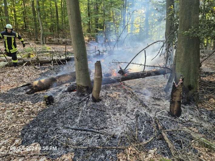 FW Kreis Soest: Wald- und Flächenbrandgefahr jetzt schon hoch - wie kann man vorbeugen?