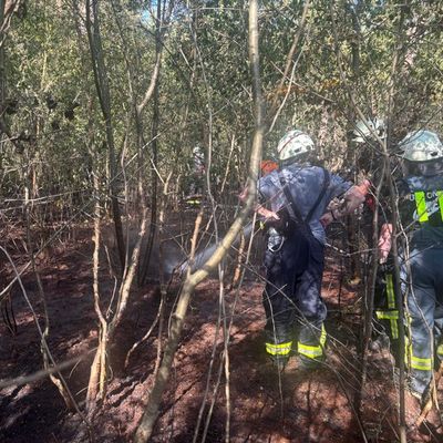 FW-ROW: Wald- und Flächenbrand zwischen Zeven und Godenstedt