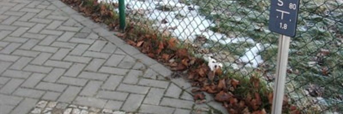 FW Weinheim: Hydranten im Winter freihalten und enteisen - wichtiger Beitrag zum Brandschutz